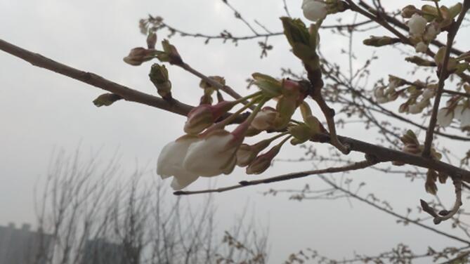 點(diǎn)擊打開原圖