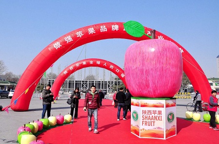 陜西蘋果