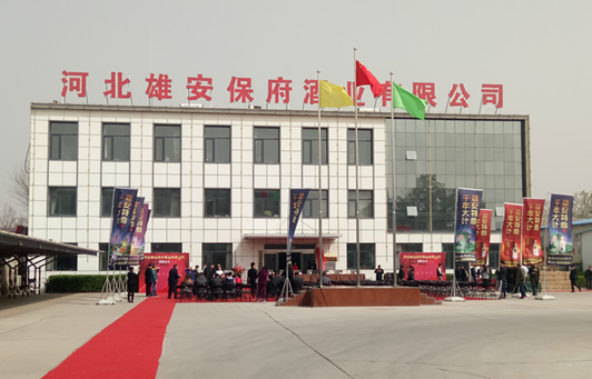 打造雄安新區(qū)文化名片 這就酒企緣何底氣十足？