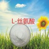 L-絲氨酸生產(chǎn)廠家，L-絲氨酸價(jià)格，L-絲氨酸作用