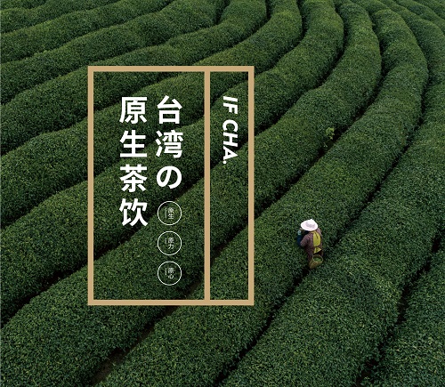09 - 副本.jpg