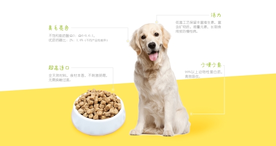 首頁(yè)-PC端-1_10(2)