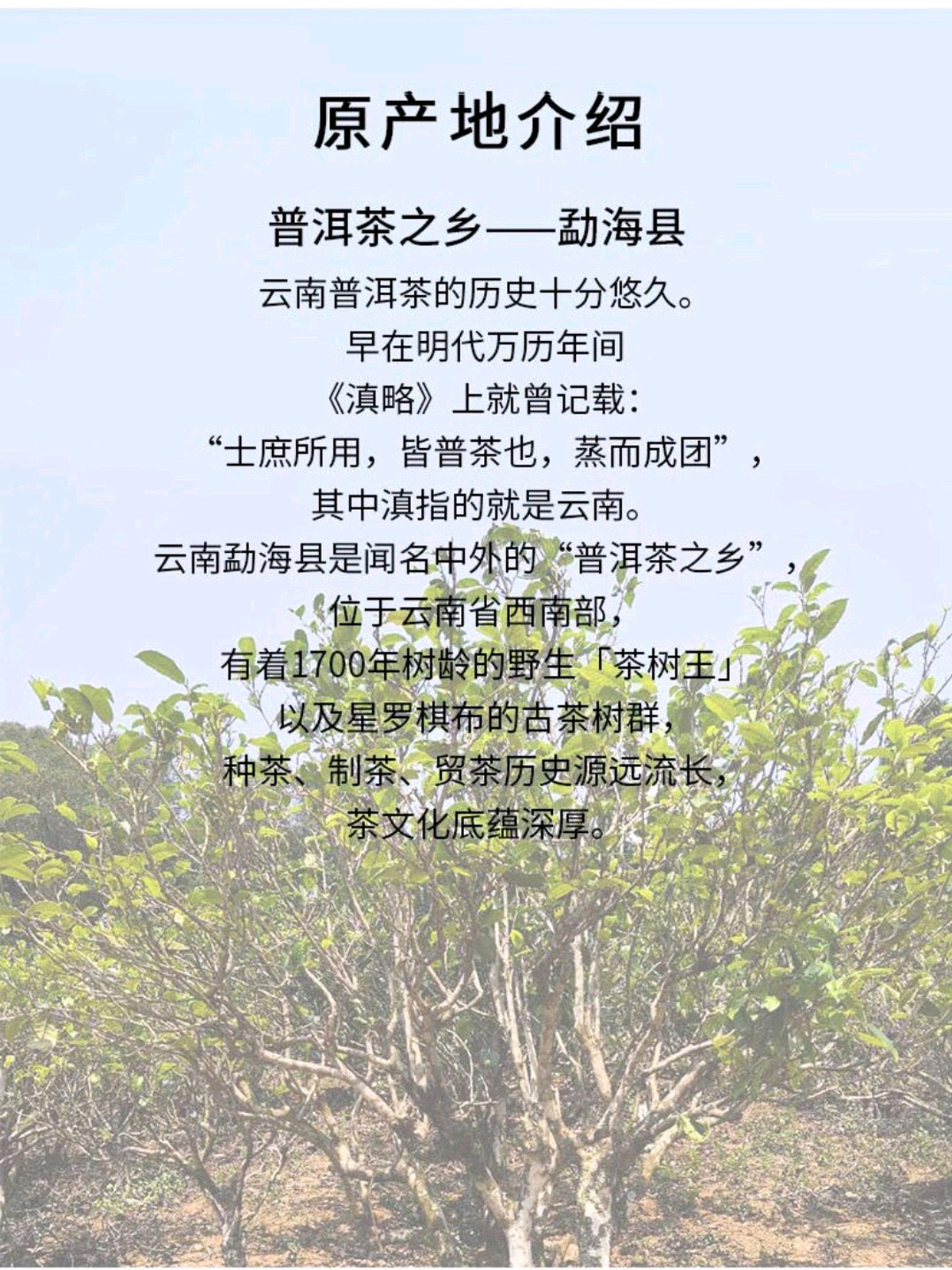 2015年書生5.jpg