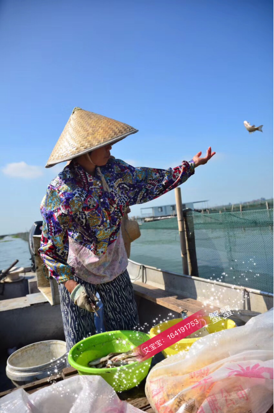 QQ圖片20180817105551.png