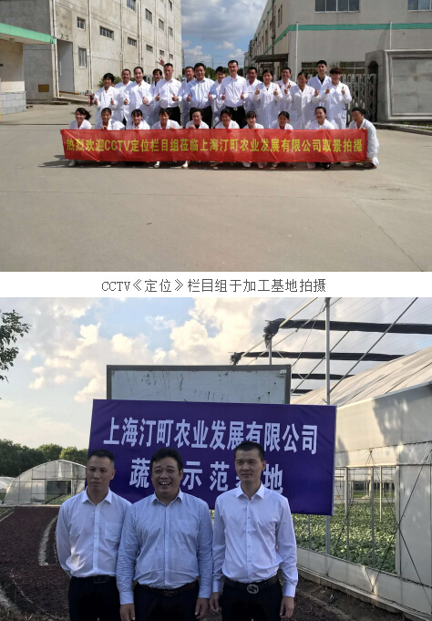 CCTV《定位》欄目組專訪丨愛到家 一個(gè)“行者”的公益之夢(mèng)