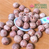 紅蓮子無心去芯鉆心通心 圓粒湘蓮寸三蓮 尚品蓮皇產(chǎn)地批發(fā)供應