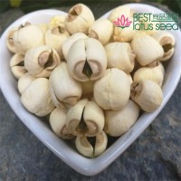 手工白蓮子有芯帶芯實心 圓粒湘蓮寸三蓮 尚品蓮皇產(chǎn)地批發(fā)供應