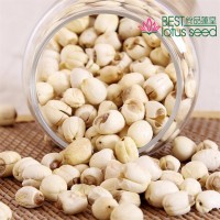 手工白蓮子去芯無心通心鉆心 湘蓮寸三蓮 尚品蓮皇產(chǎn)地批發(fā)供應