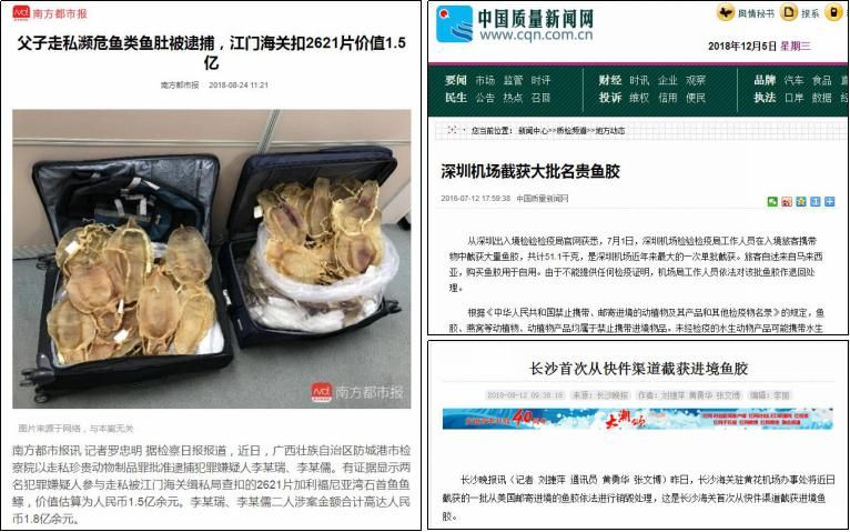 圖片11.jpg