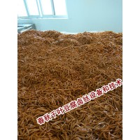 休閑千頁豆腐絲生產(chǎn)設(shè)備，山東生產(chǎn)加工麻辣千頁豆腐絲廠家