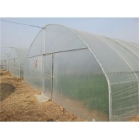 河南溫室大棚建設過程中要注意的問題