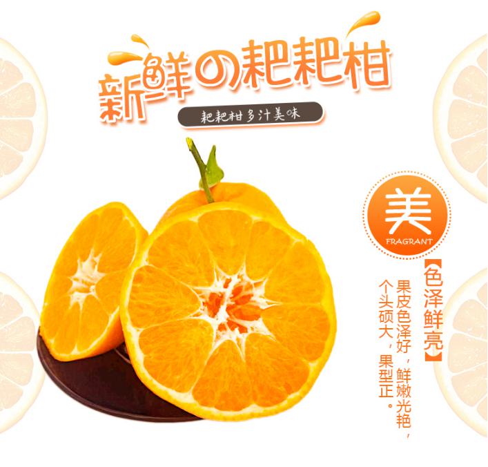 圖片2.jpg