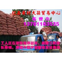 常年供應(yīng)杞縣印尼蒜、扒米蒜及脫水蒜