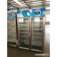雙開門酸奶機多功能商用酸奶機