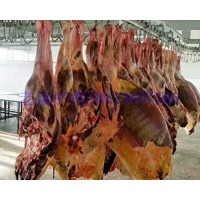 批量現(xiàn)貨進口蒙古馬肉天然草原放養(yǎng)活馬屠宰新鮮凍馬肉