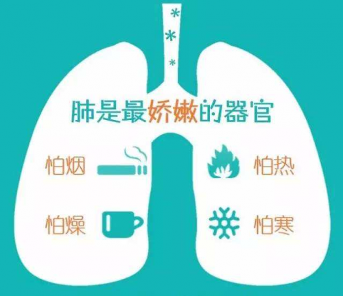不騙人，廣東壹健康教你幾招潤肺養(yǎng)肺