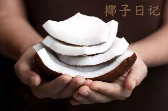 椰子日記