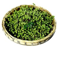 吳奶奶青花椒調(diào)味品  儀隴九葉青花椒 朱德故里之鄉(xiāng)花椒批發(fā)
