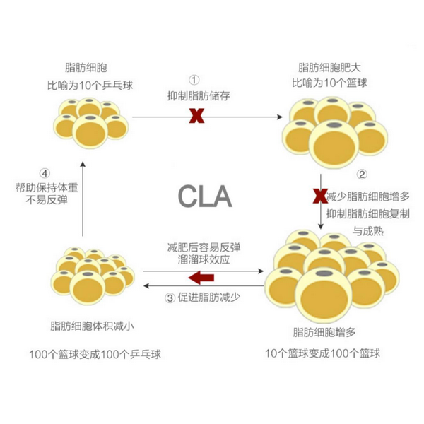 圖片4.png