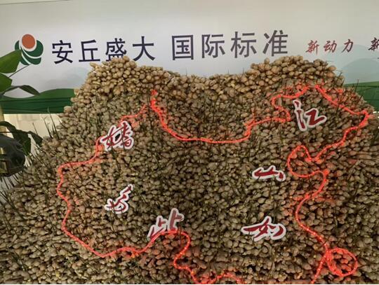 安丘大姜生態(tài)種植解決方案（標準）正式發(fā)布