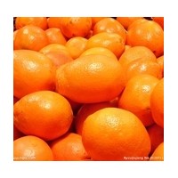 求購(gòu)橙子