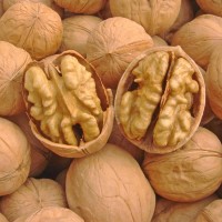 求購(gòu)核桃；紅棗；青棗