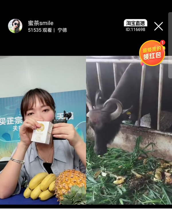 圖片6.png