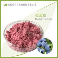 壹貝子藍(lán)莓速溶汁粉 SC源頭廠家直供口感好營養(yǎng)豐富 藍(lán)莓粉