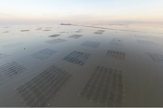 QQ截圖20201221160457