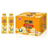 金登河芒果牛奶500ml，廠家批發(fā)，廠家大量直發(fā)，售后無憂