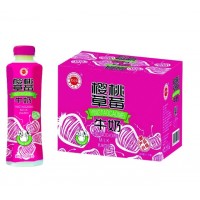 金登河櫻桃草莓牛奶500ml，廠家批發(fā)，大量直發(fā)，售后無憂