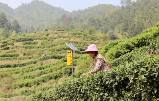 QQ截圖20210401173051