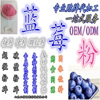 藍(lán)莓葉黃素酯片 藍(lán)莓粉 藍(lán)莓片 OEM貼牌代加工 廠家定制