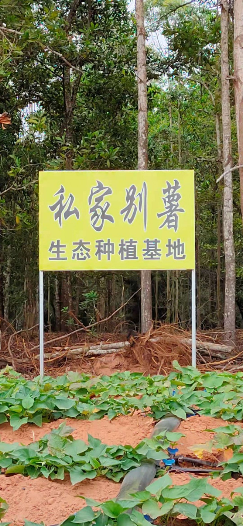 微信圖片_20210607140008