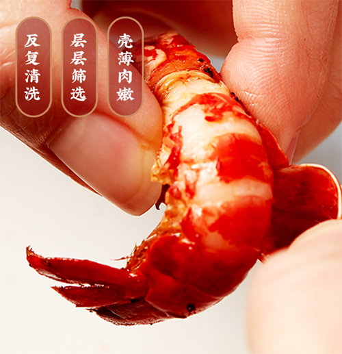 2圖片 1.png