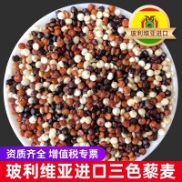 東莞藜麥批發(fā) 皇家進(jìn)口三色藜麥可定制