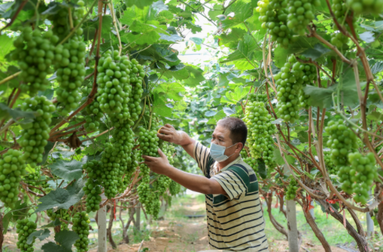 QQ截圖20210811182651