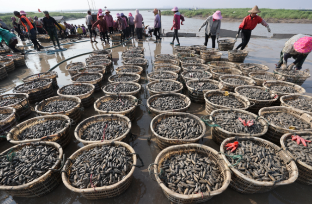 QQ截圖20210816180317