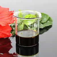 廠家供應(yīng)食品級水溶性姜油 姜茶姜膏添加原料姜辣素