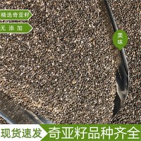 墨西哥進(jìn)口奇亞籽