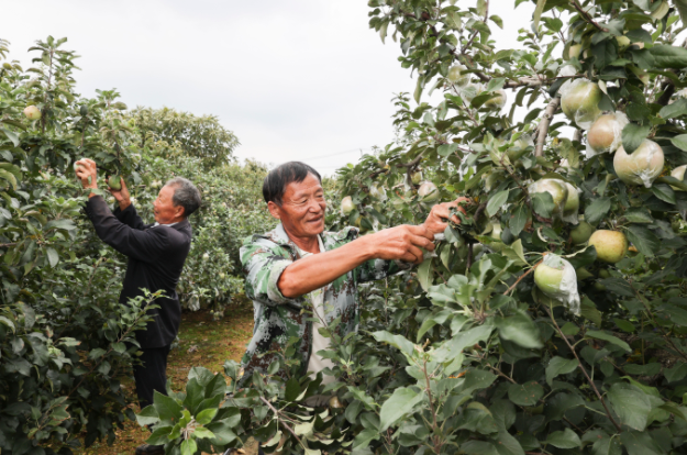 QQ截圖20210907154537