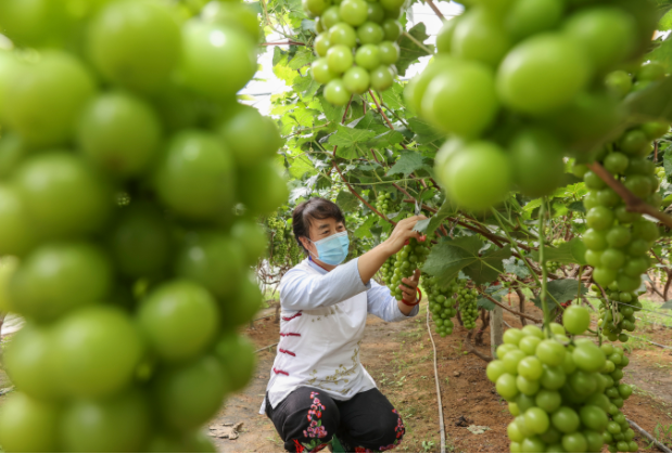 QQ截圖20210907154339