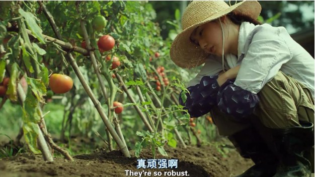QQ截圖20210929112458