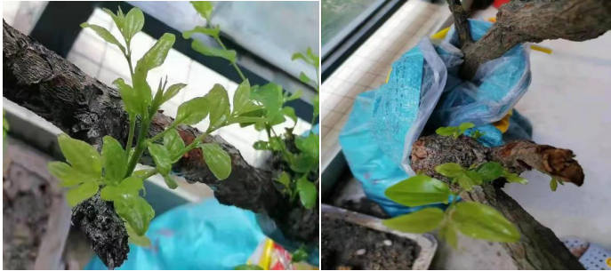 打造生態(tài)健康 保持生物多樣性 促進人與自然和諧