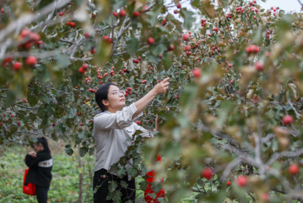 QQ截圖20211027162354