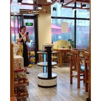 機器人租賃  廠家出租餐廳各類服務(wù)機器人