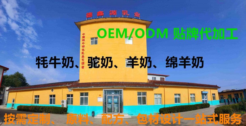 廠區(qū)大門2_副本_副本(1)(1)