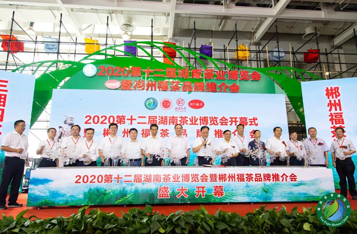 QQ截圖20211205171030