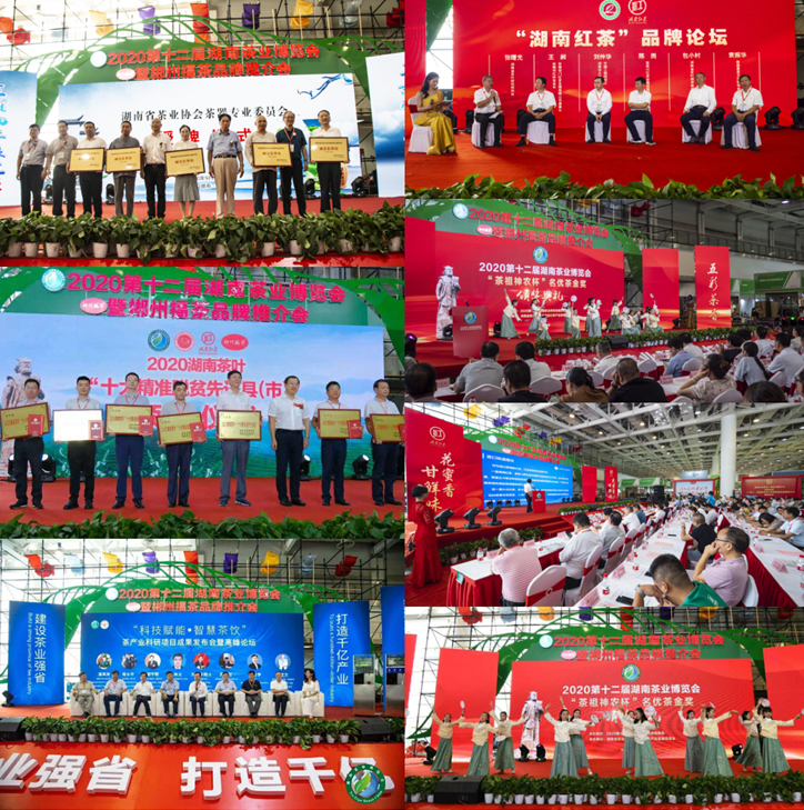 QQ截圖20211205171058