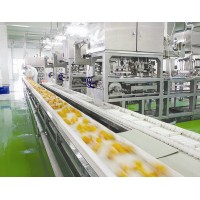 江西九江食品SC無(wú)塵車間設(shè)計(jì)布局方案
